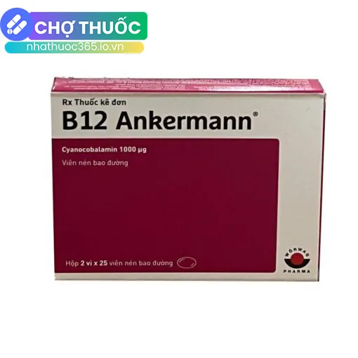B12 Ankermann