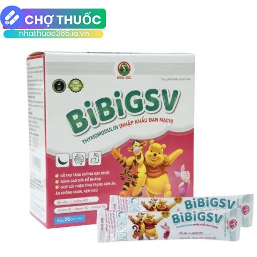 BibiGSV