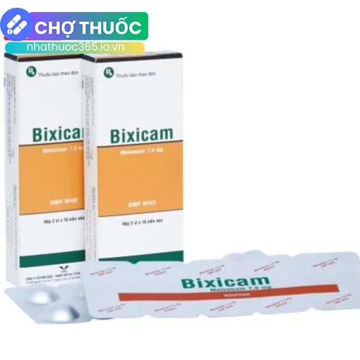 Bixicam