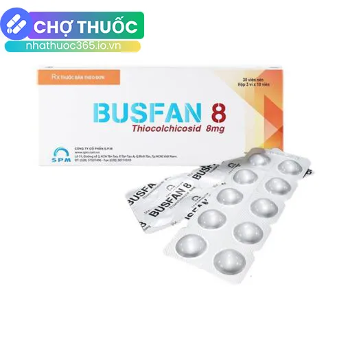 Busfan 8