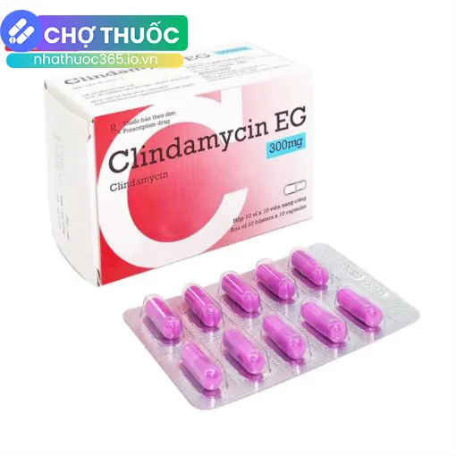 Clindamycin EG 300mg