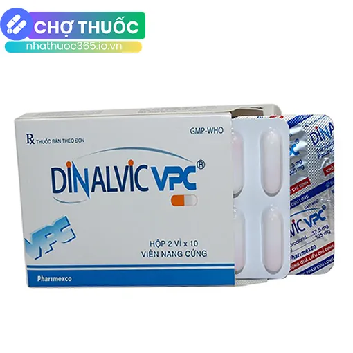 Dinalvic VPC