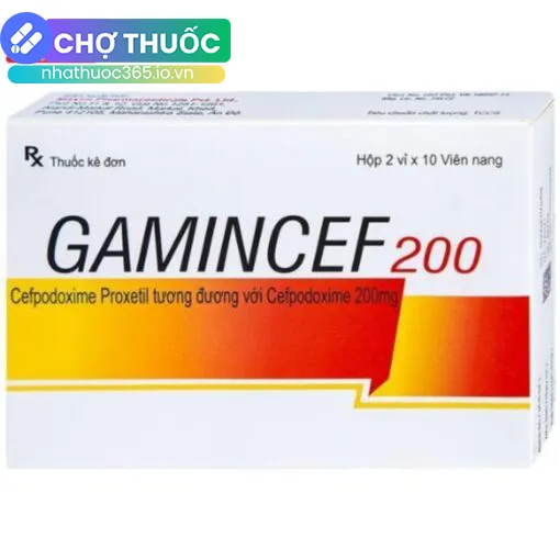 Gamincef 200