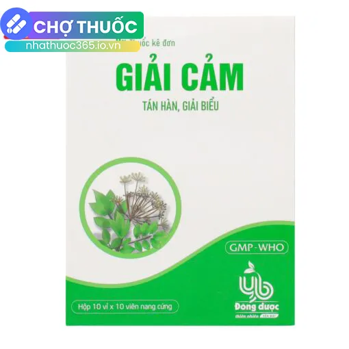 Giải Cảm Bepharco (Hộp 10 vỉ x 10 viên)