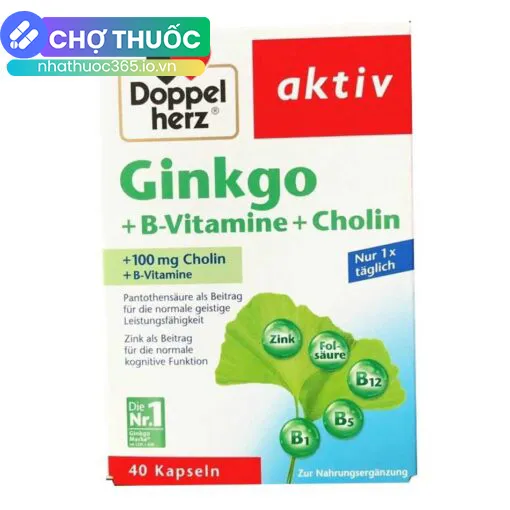 Ginkgo + B-Vitamine + Choline Doppelherz