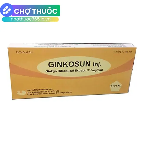 Ginkosun Inj.