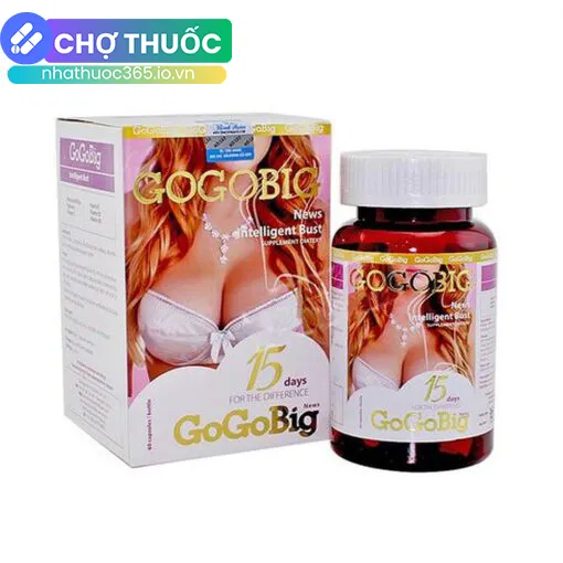 GoGoBig