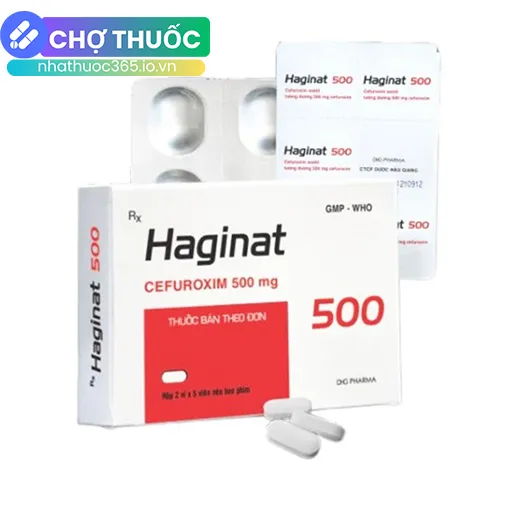 Haginat 500