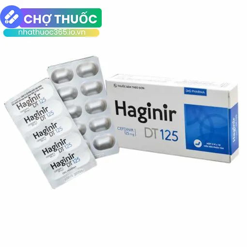 Haginir DT 125