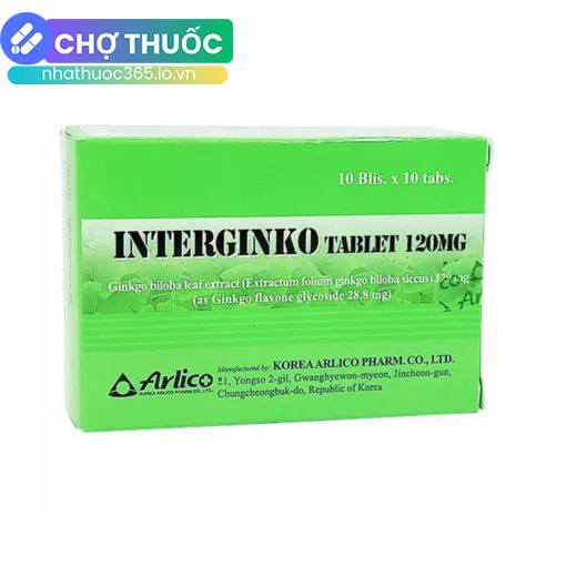 Interginko Tablet 120mg