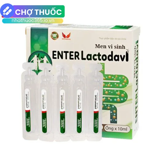 Men vi sinh Enter Lactodavi