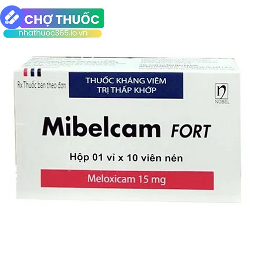 Mibelcam Fort