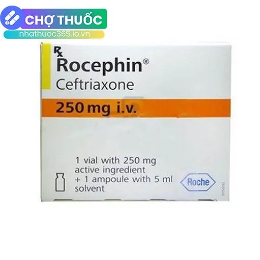Rocephin 250mg i.v