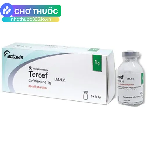 Tercef 1g