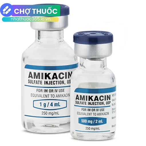 Union Amikacin 500mg/2ml