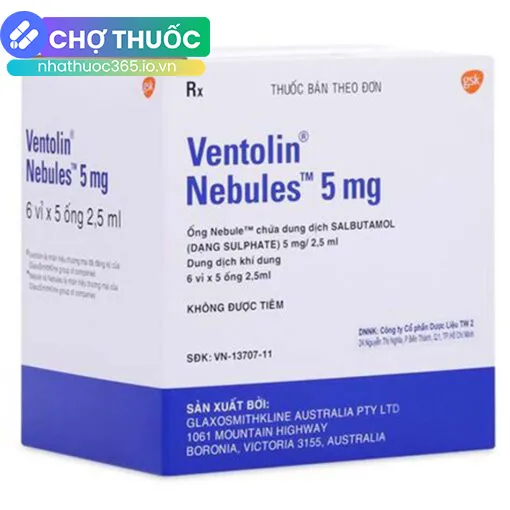 Ventolin Nebules 5mg/2,5ml
