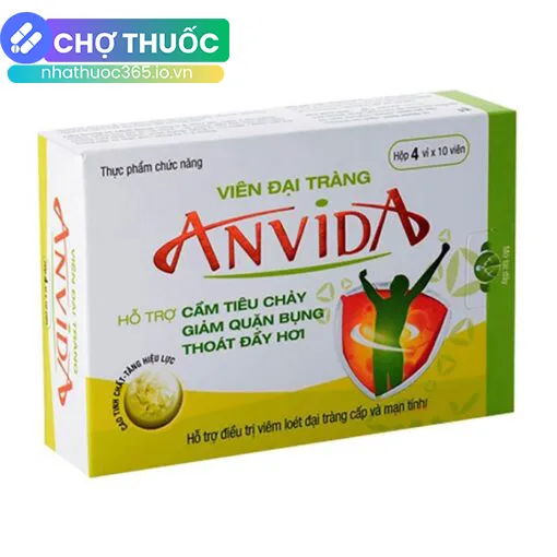 Viên Đại Tràng Anvida (Vỉ)