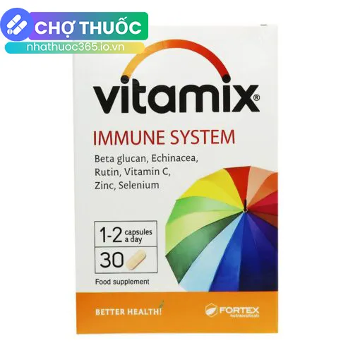 Vitamix Immune System
