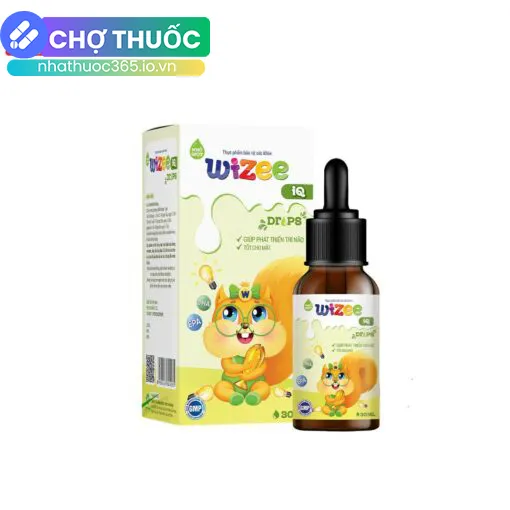 Wizee IQ